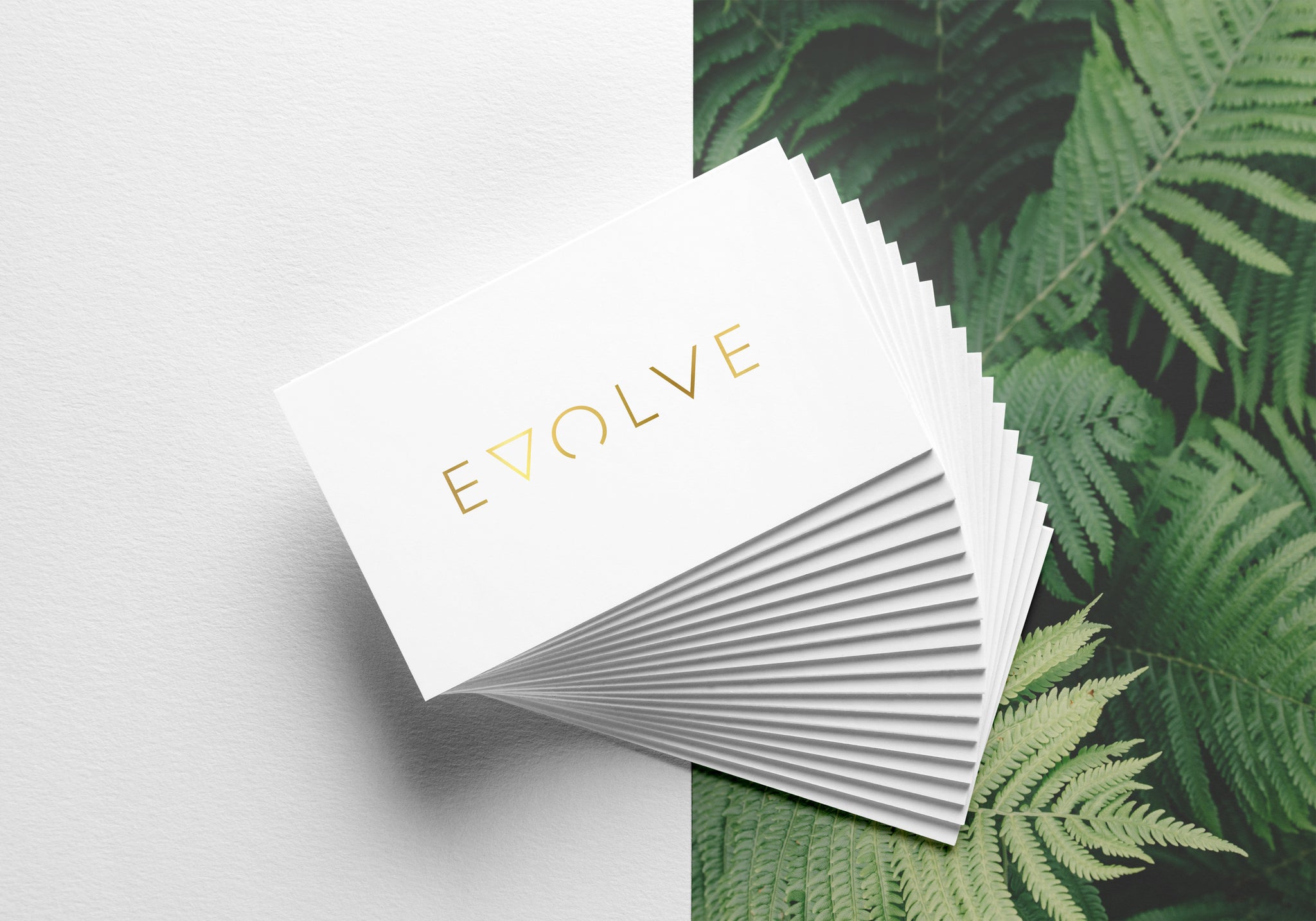 Evolve Eco Park度假村